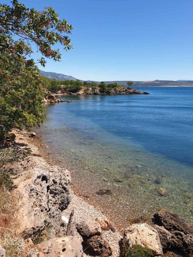 Vito Leilighet Starigrad Paklenica Eksteriør bilde